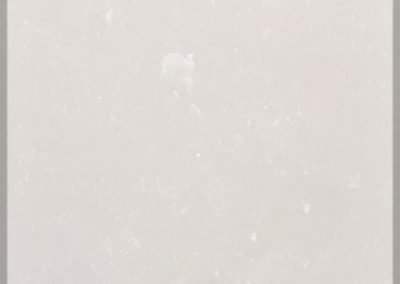 9004 TRANSLUCENT